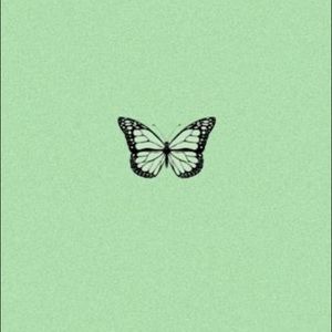 Meet your Posher, Molly